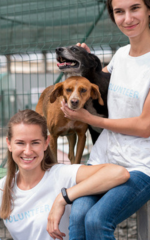 Pessoas felizes com cachorrinhos