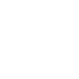 Logo Whatsapp